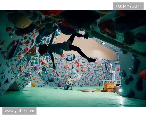 攀岩之巅：深入解析上海攀岩队的默契与协作精神